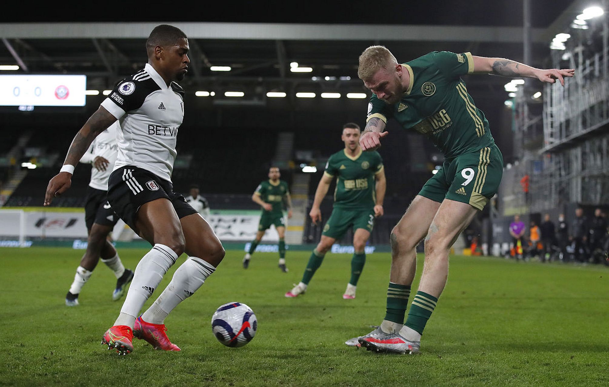 明了自己的 明了自己的